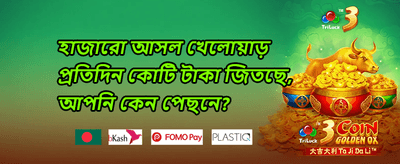 সাপ্তাহিক ভিআইপি ক্যাশব্যাক